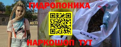 индика Гай